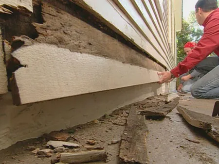 examining rotted wood siding and foundation damage
